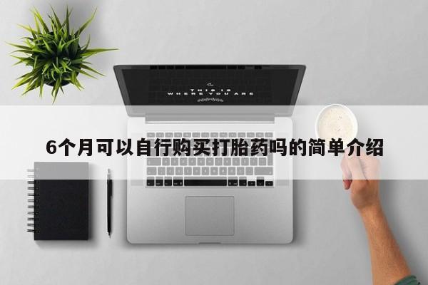 哪里有打胎药卖私人卖6个月可以自行购买打胎药吗的简单介绍
